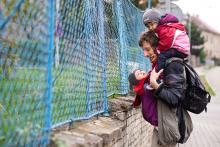 Vánoční stromeček v dubnu? Proč ne...