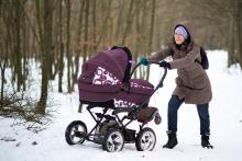 Není nad odpočinek při nedělní procházce zimním lesem