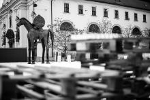 Kolem koňa bude letos v zimě dost živo