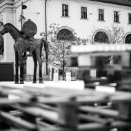 Kolem koňa bude letos v zimě dost živo