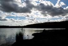 Tom, přemítající o novém uspořádání sněmovny, marně čekal na to, až slunko rozzáří stromy kolem jezera