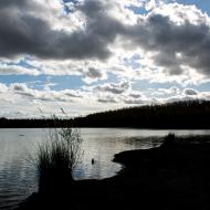 Tom, přemítající o novém uspořádání sněmovny, marně čekal na to, až slunko rozzáří stromy kolem jezera