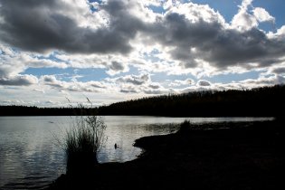 Tom, přemítající o novém uspořádání sněmovny, marně čekal na to, až slunko rozzáří stromy kolem jezera