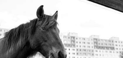 4. víkend v dubnu 2017