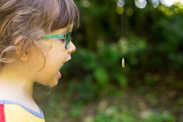 Verunka zjišťuje, že ne všechny zvířata lze zastrašit křikem