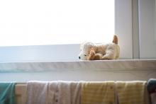 Venku je takové počasí, že by ani plyšového psa nevyhnal