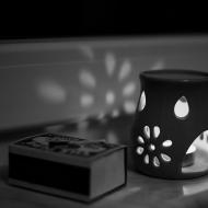 Večery s eukalyptem