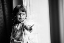 Ano, i my jsme měli po vichřici za barákem padlý strom