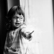 Ano, i my jsme měli po vichřici za barákem padlý strom