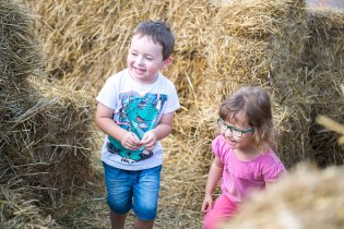 Bludiště bylo velmi oblíbené