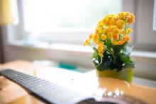 Zátiší s květinou a kytarou