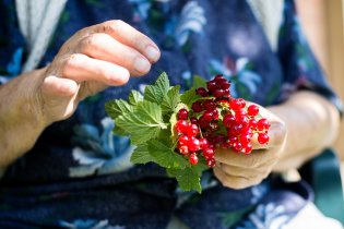 A kdybychom neodjeli, tak se Verunka cpe rybízem ze zahrady ještě teď
