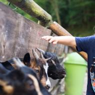 Nebojte se mě, já jsem hodná holčička