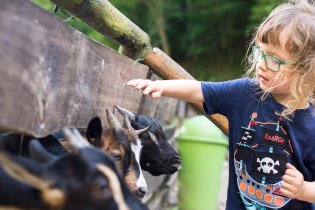 Nebojte se mě, já jsem hodná holčička