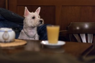 Tak kde je ten můj raw dortík?