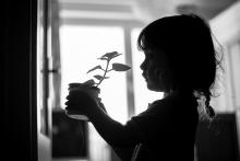 Mami, já ten rýmovník mám moc ráda