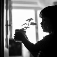 Mami, já ten rýmovník mám moc ráda