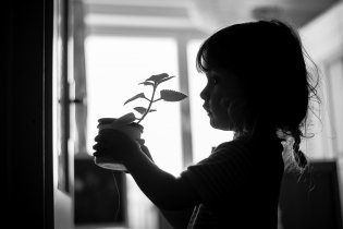 Mami, já ten rýmovník mám moc ráda