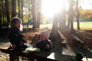 ...Zbytek rodinky prozkoumává novou naučnou stezku v oboře Holedná