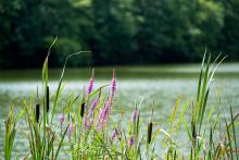 Na rande jsme se vypravili přes celé město