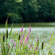Na rande jsme se vypravili přes celé město