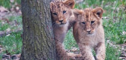 1. víkend v dubnu 2018