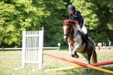 Na jednom dobře utajeném místě mezi Bystrcí a Žebětínem