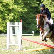 Na jednom dobře utajeném místě mezi Bystrcí a Žebětínem