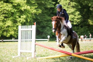 Na jednom dobře utajeném místě mezi Bystrcí a Žebětínem