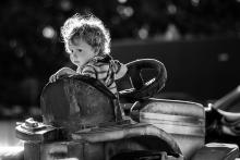 Zlatohlavý traktorista