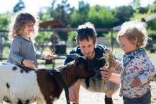 Radovánek si není jistý, jestli se má bát, nebo smát