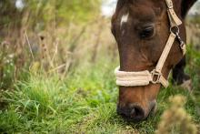 A že mu ale chutná!