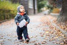 Podle mapy by to měl být krkavec, ale tohle vypadá spíš jako sova?!