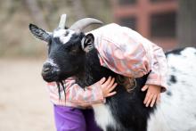 Jestli to nebude láska...