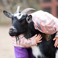 Jestli to nebude láska...