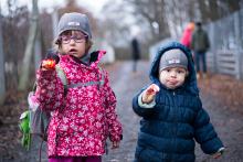 Podvečerní procházky ve znamení světýlek.