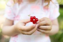 Poklady ze zahrádky