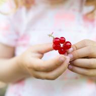 Poklady ze zahrádky