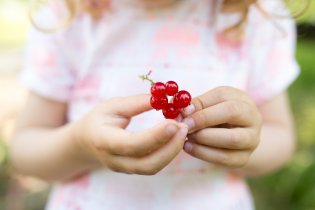 Poklady ze zahrádky