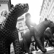 Na Šilingráku řádí šelmy