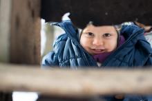 Kuk do krmítka - nebude tam něco k snědku?