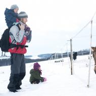 Zasněženou plání ke koním - zimní romantika
