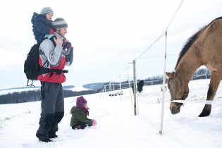 Zasněženou plání ke koním - zimní romantika