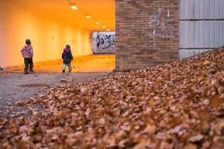 Krásný podzimní tunel