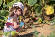 Verunka si založila deníček, do kterého si kreslí vše, co jí  zaujme