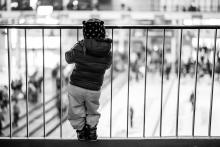 Olympijský park jako na dlani