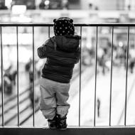 Olympijský park jako na dlani