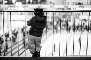 Olympijský park jako na dlani