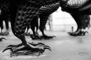 Ti asi jen tak neodletí