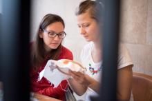 Tady to takhle propíchneš, protáhneš a je to...